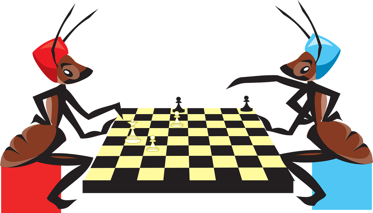 Foto dos formigues jugant a escacs
